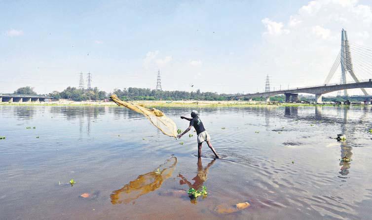 Where the Yamuna still has signs of life