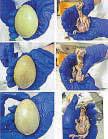 Three GIB chicks hatch in a day at conservation centre in Rajasthan