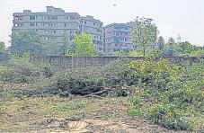 Dwarka tree felling: Notice to CPWD, NII