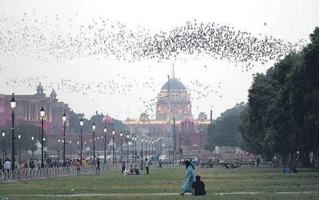 498 Flights Delayed, Over 40 Diverted in Storm Aftermath