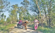 Women's role in labour force on the rise: Report