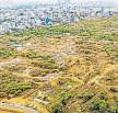 SC slams Hyd tree felling, seeks a restoration plan