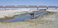 Climate crisis exposes flaws as some rivers may dry up quicker