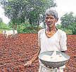 India May Import More Fertiliser From US To Narrow Trade Gap