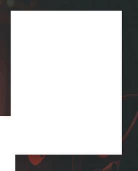 Uprooted trees damaging your cars? Here's what to do