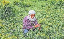 Soon, farmers will be able to test soil in seconds