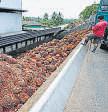 India Cuts Import Tax on Crude Edible Oils to Help Reduce Food Price