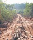 Govt to soon launch Green Wall project to save exploited Aravallis