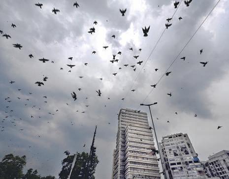 A little rain, but still no monsoon