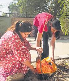 PLANT. POST. REPEAT: DELHI-NCR TURNS TREE PLANTING INTO A RITUAL