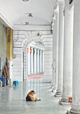 A column of CP columns