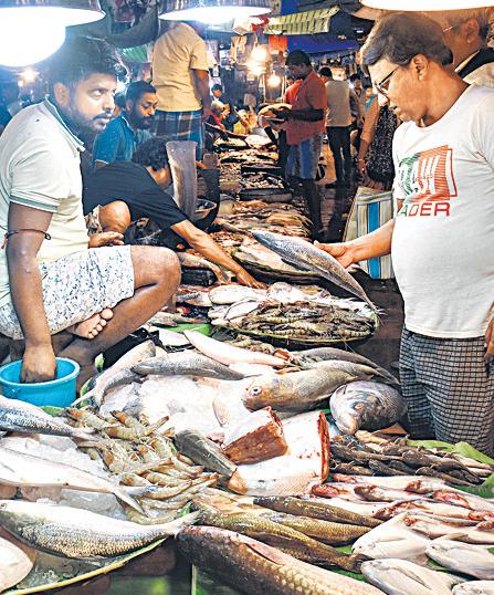 B'desh deploys warships, aircraft to guard hilsa from illegal fishing
