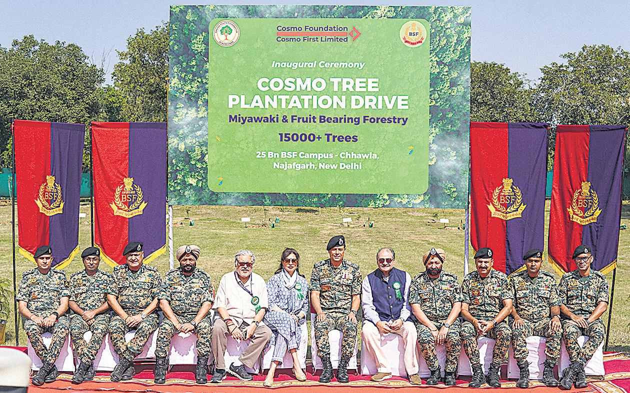 A promise of a greener tomorrow with a forest drive