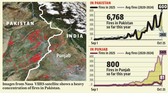 Farm fires rage in Pak, no surge in Punjab-for now