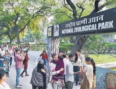 Delhi zoo reopens to huge rush after 2-month hiatus