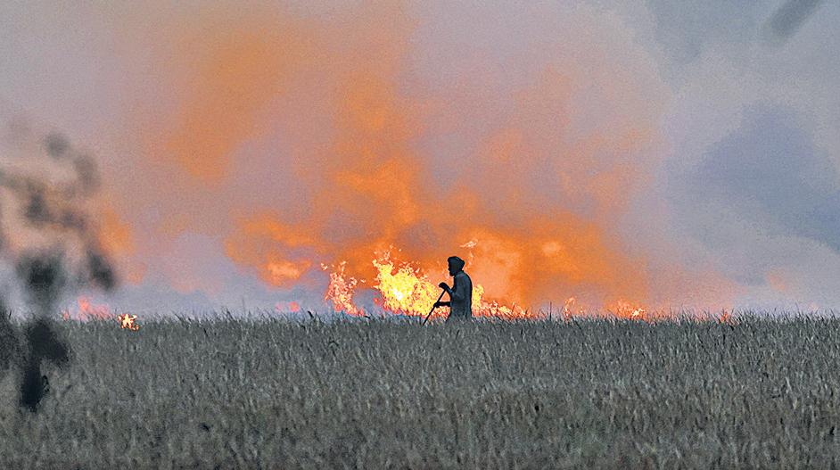 Farm fire share in toxic air at 22%, highest this season