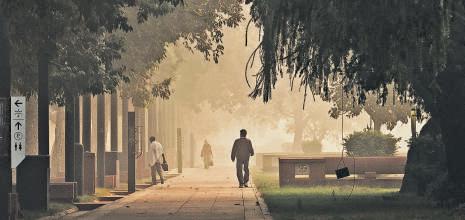 AQI ‘severe’ for 3rd day, fails to improve despite forecast