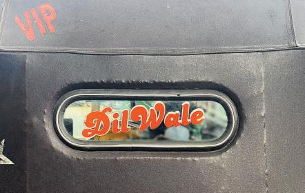 The 'wale' census