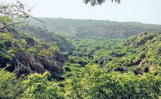 Apex court's stay on Aravallis order hailed across party lines