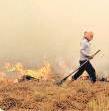 Farm fires’ share in city’s pollution falls to 3.5%: CPCB