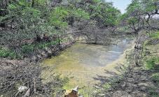 Verify water quality at lake in Dhaula Kuan, says NGT