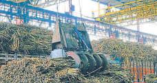 Sugarcane farmers may get a sweet deal