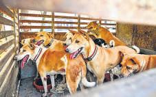 When justice strays from reason and compassion