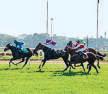 K’taka to introduce bill permitting online bets on horse races