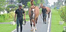 Meerut gets India's first disease-free hub for horses