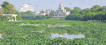 'Floating invaders' still haunt Gomti
