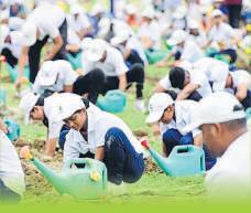 Hundreds of trees planted as city roots for greener future