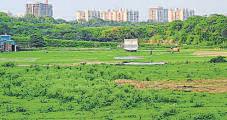 Illegal cricket turf in Gomti Ngr razed