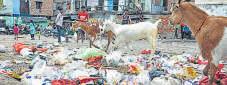 Garbage still rules the streets in ‘Swachh Lko’