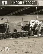 Hindon and the case for efficient, low-cost airports