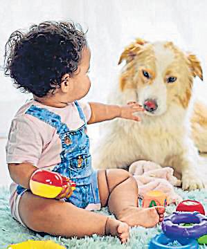 India to remove added sugar from baby food