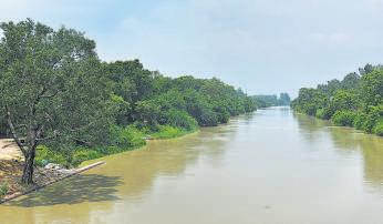 Realigned Upper Ganga Canal road to spare trees: UP to NGT