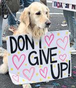 I’m here for the long run