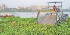NGT forms joint committee to look into grievances of residents about Powai Lake, seeks report in a month