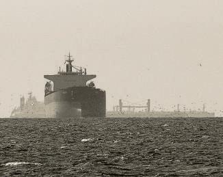 The Iran war and the shifting Gulf dynamics