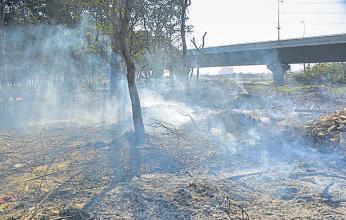 NGT seeks PMC response on garbage burning issue