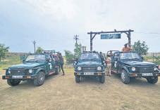Grassland safari: New model of ecotourism