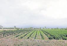 Purandar Airport land donors to be alloted plots