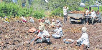 Tribal parents forced to leave children with contractors; 17 rescued by police