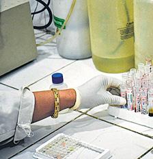 India on course to develop indigenous dengue vaccine