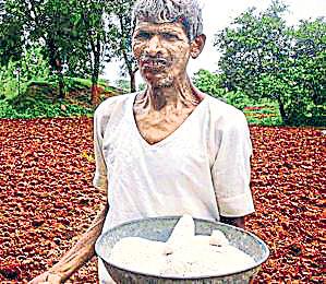 India imports 10 lakh tonnes of DAP in QI to meet local demand