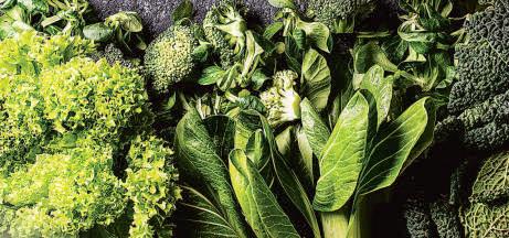 5 winter-friendly food to lower cortisol and ease stress