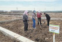 Time to celebrate as dreaded white gives way to pure gold