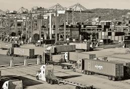 Need a stronger WTO to fight Trump’s trade pivot