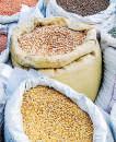 India faces WTO scrutiny over import curbs, quality control