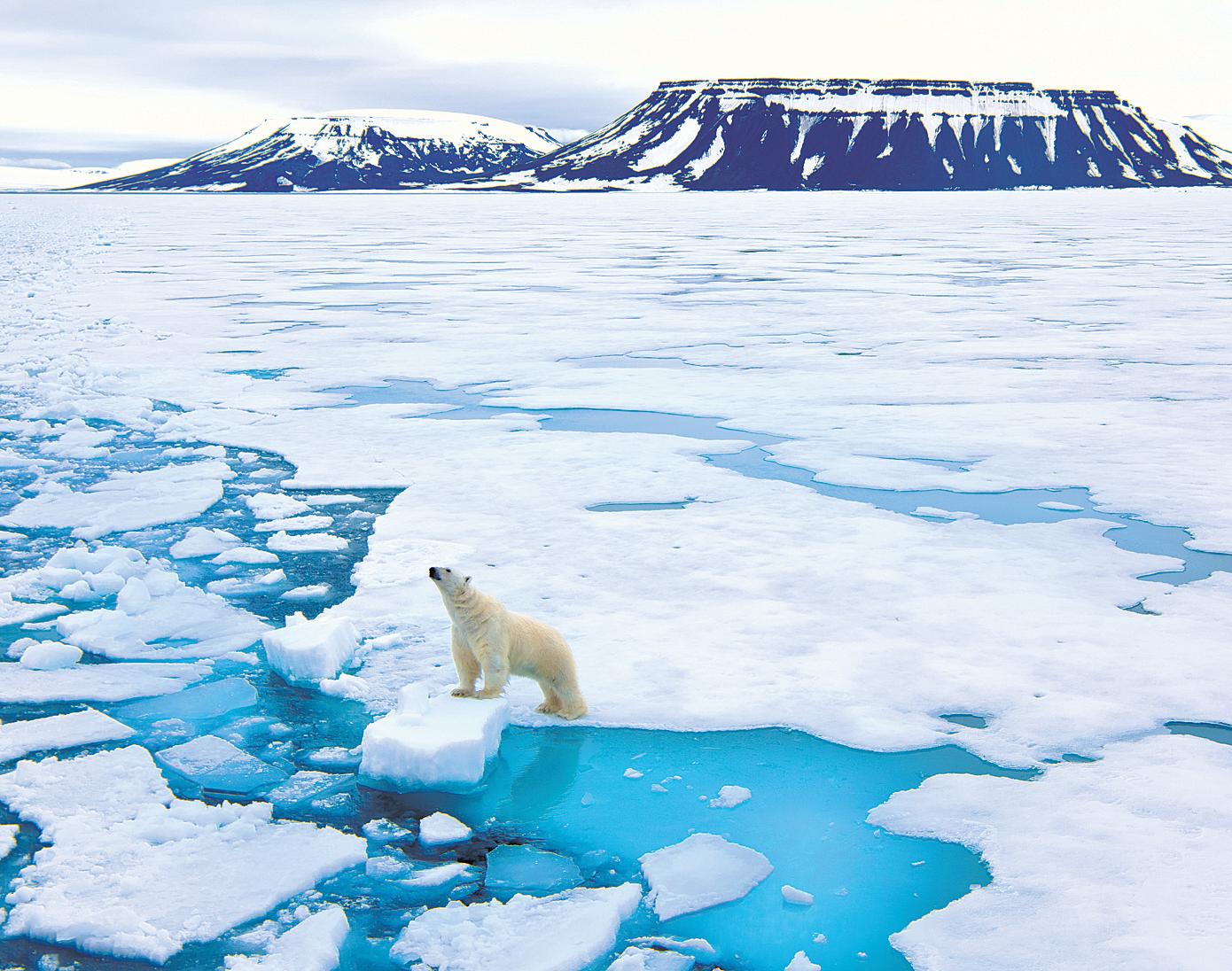 Inside the West's race to defend the Arctic